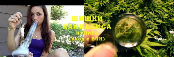 мдпв Осинники