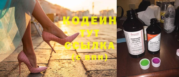 мдпв Осинники