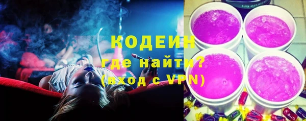 амф Няндома