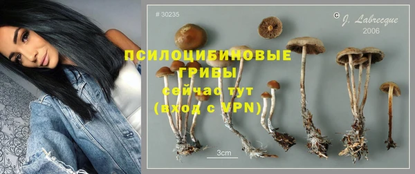 прущие крисы Осташков