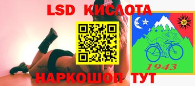 apvp Кингисепп