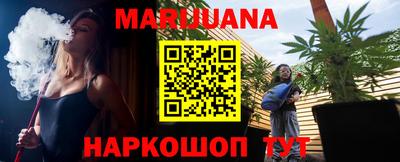 apvp Кингисепп