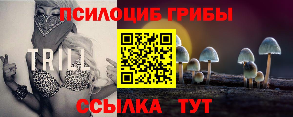 Галлюциногенные грибы прущие грибы  Вход с VPN  Псилоцибиновые грибы Psilocybe  Сарапул 